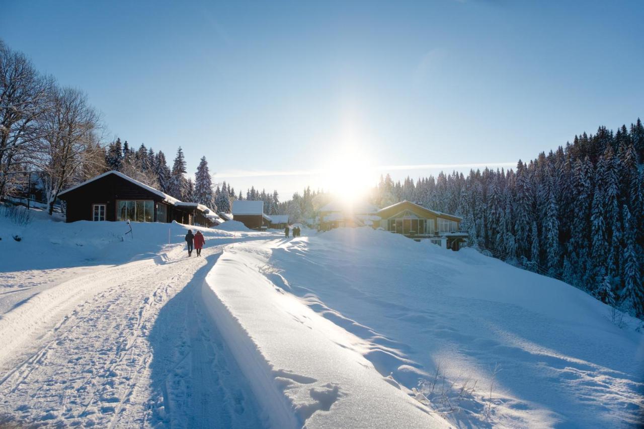 Kleivstua Hotel Near Krokskogen Sundvollen Exteriör bild